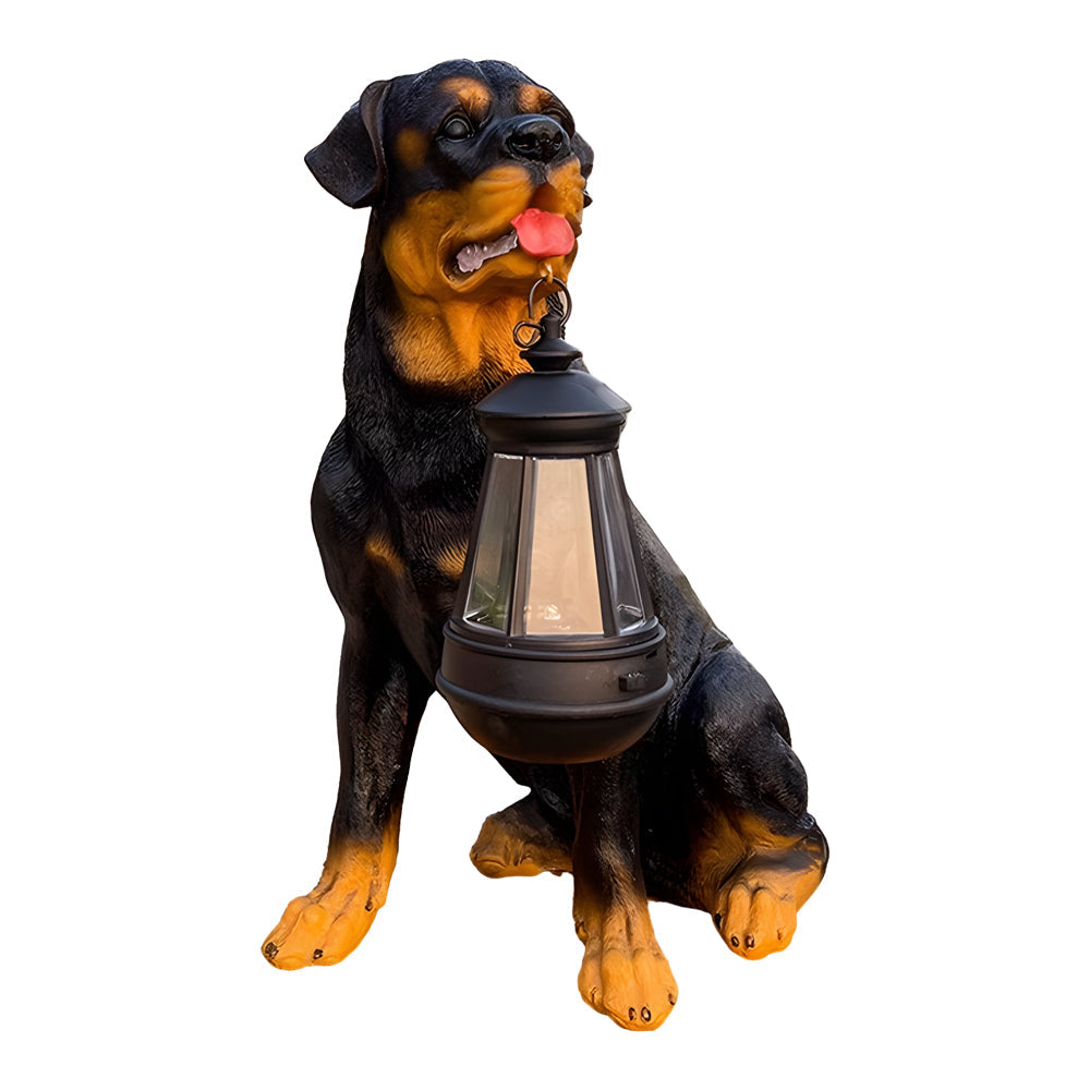 Isolated rottweiler dog solar light statue with lantern