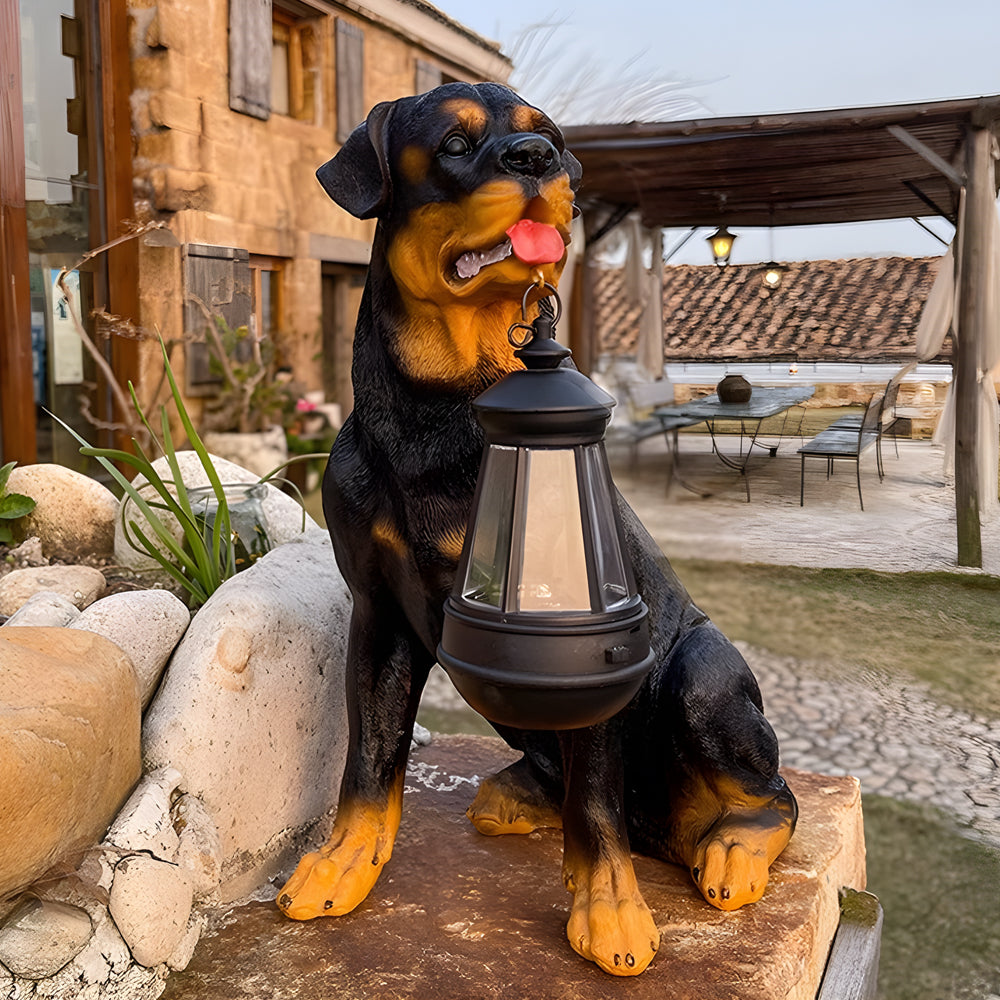 Rottweiler dog solar light statue holding a lantern for outdoor decor