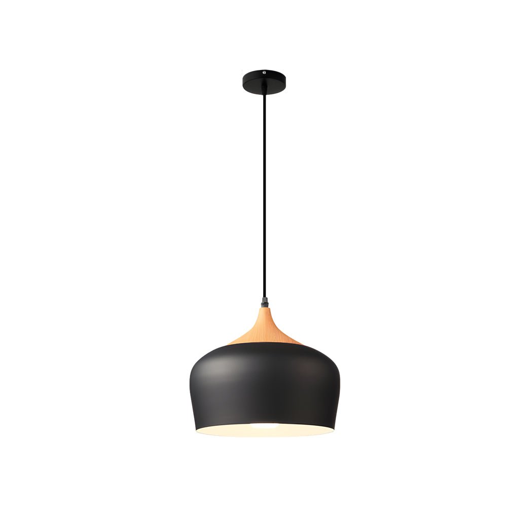 Dome Pendant Light with Wood Detail - Modern 1 - Light Island Fixture