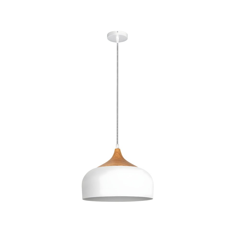 Dome Pendant Light with Wood Detail - Modern 1 - Light Island Fixture