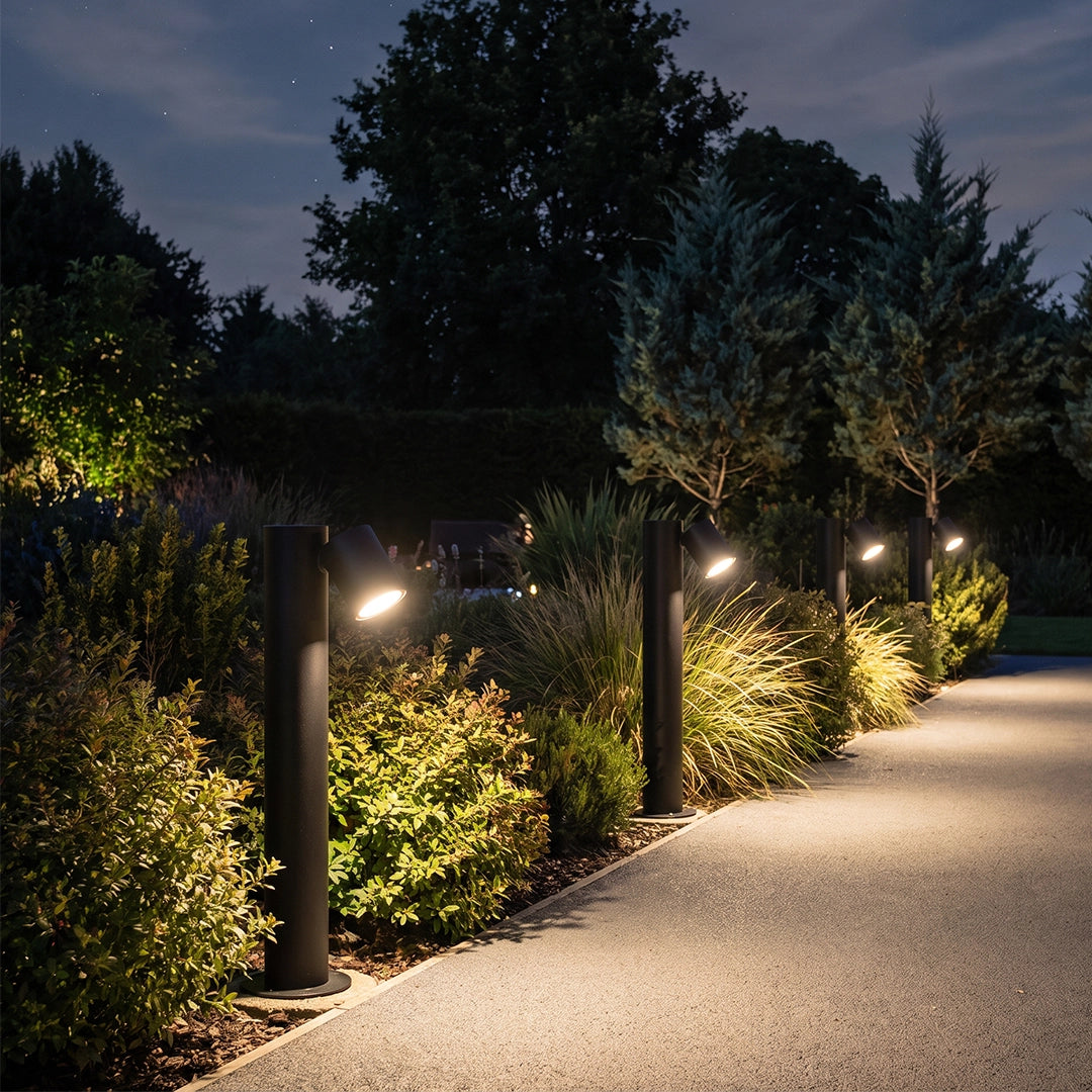 Double light bollard light illuminating a garden path bordered by shrubs and trees at night.