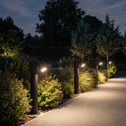 Double light bollard light illuminating a garden path bordered by shrubs and trees at night.