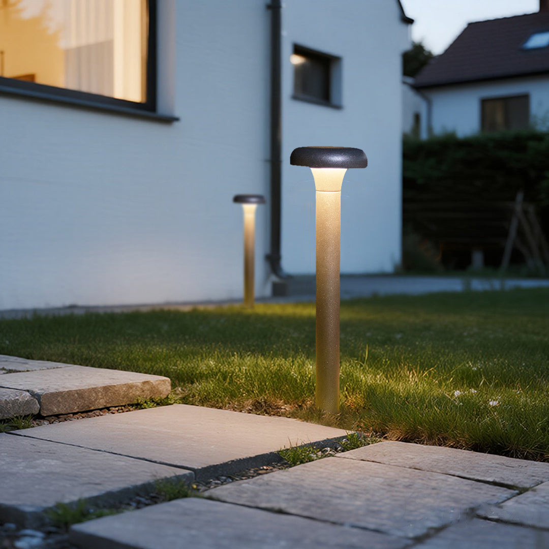Modern outdoor lighting installation along contemporary building pathway and lawn