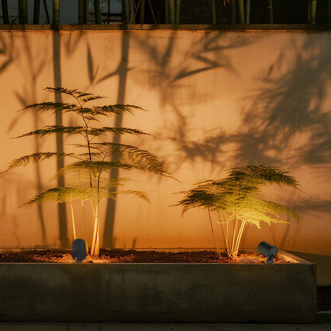 Dramatic LED spotlights outdoor creating silhouette lighting effect for palm trees at sunset