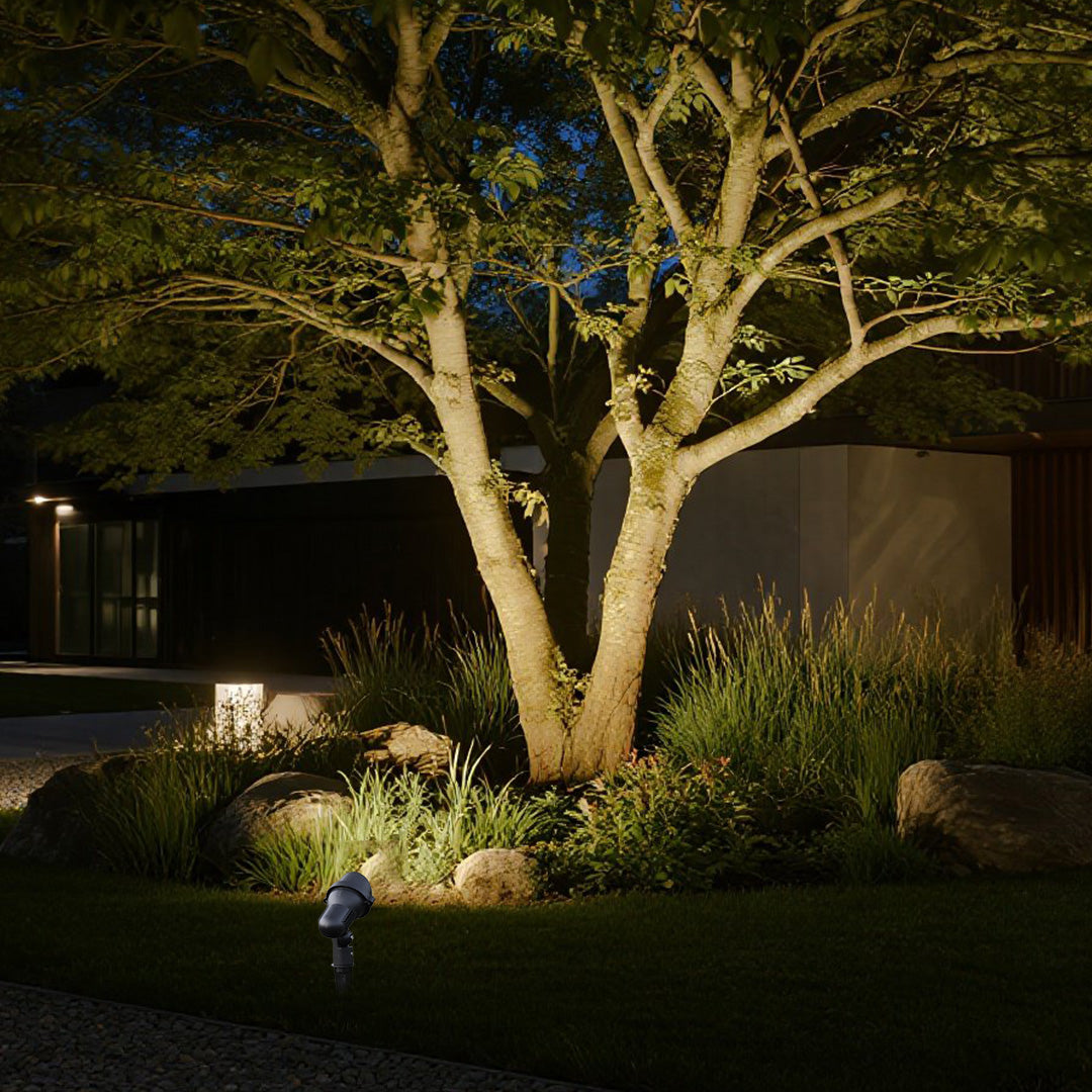 Dramatic nighttime tree lighting showcasing architectural landscape design with blue twilight sky