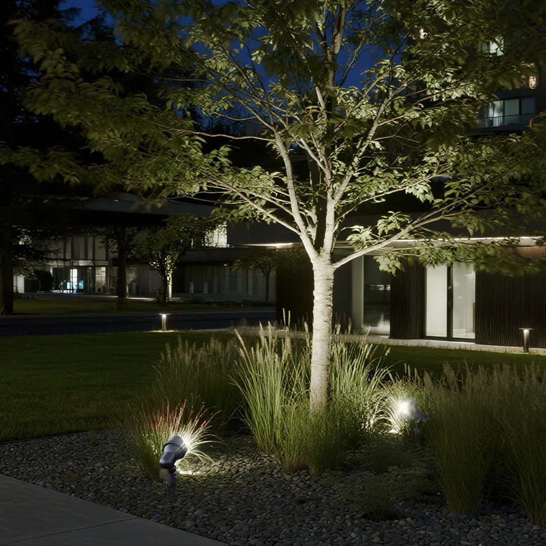 Dramatic nighttime tree lighting showcasing architectural landscape design with blue twilight sky