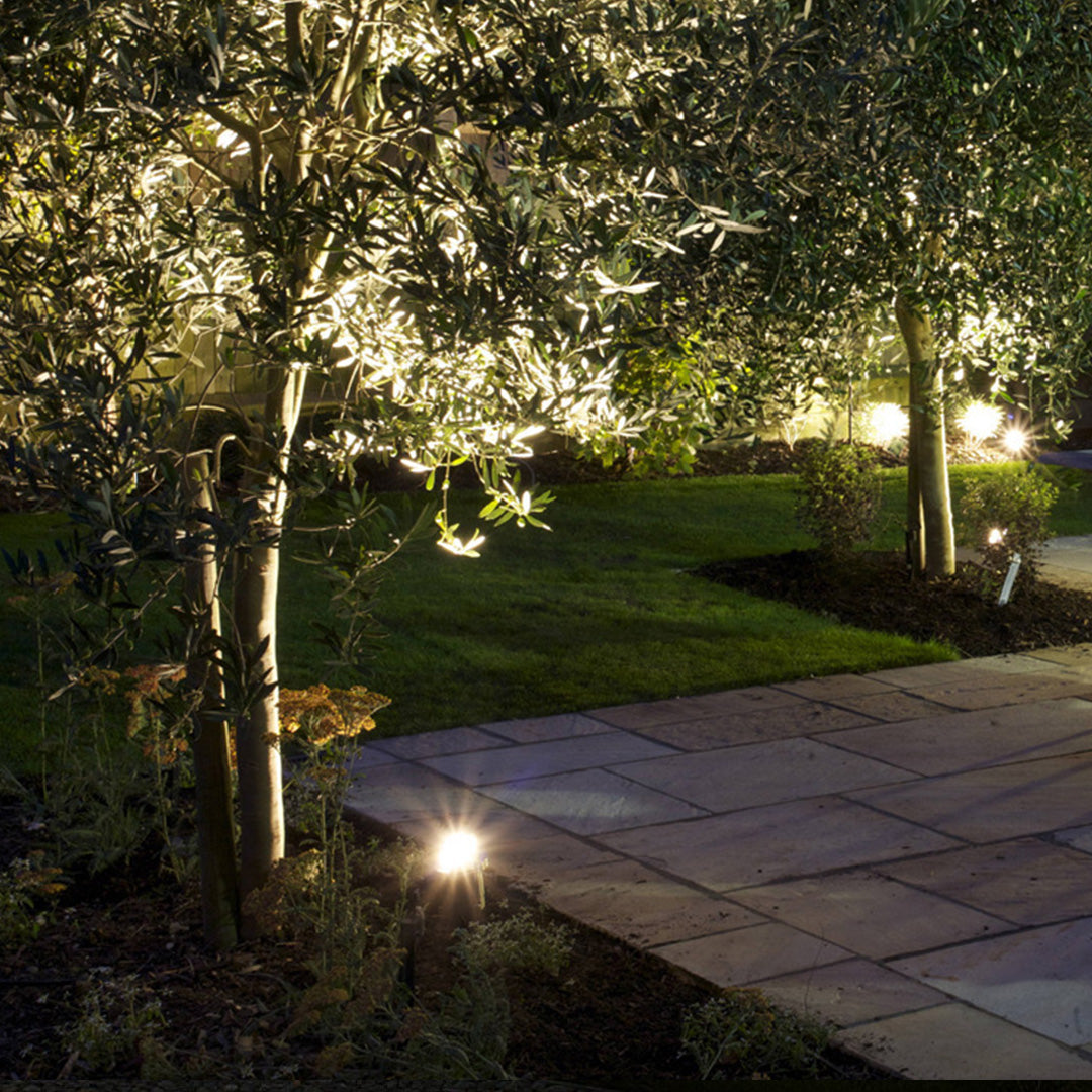Dramatic nighttime tree lighting showcasing architectural landscape design with blue twilight sky