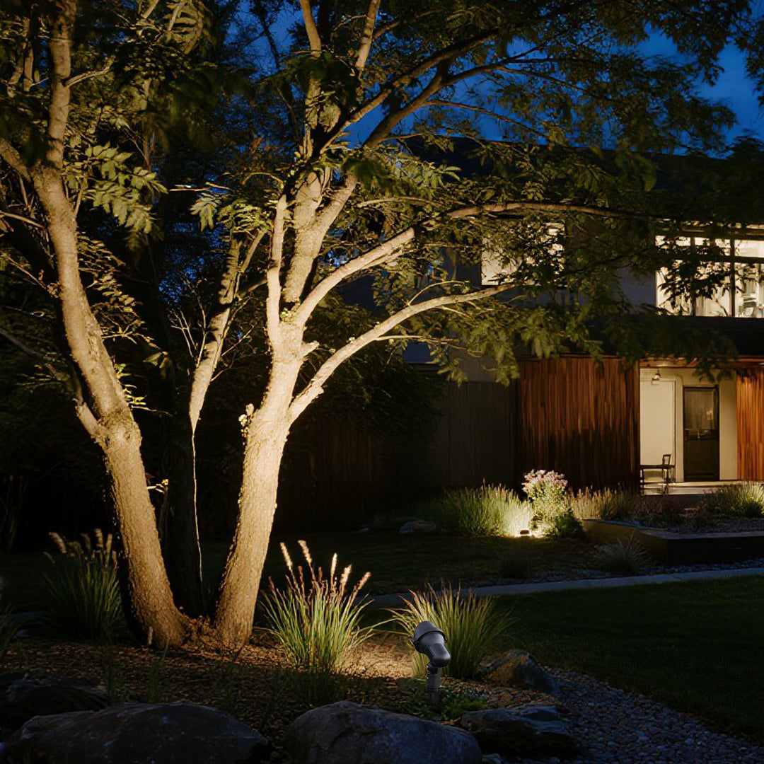Dramatic nighttime tree lighting showcasing architectural landscape design with blue twilight sky
