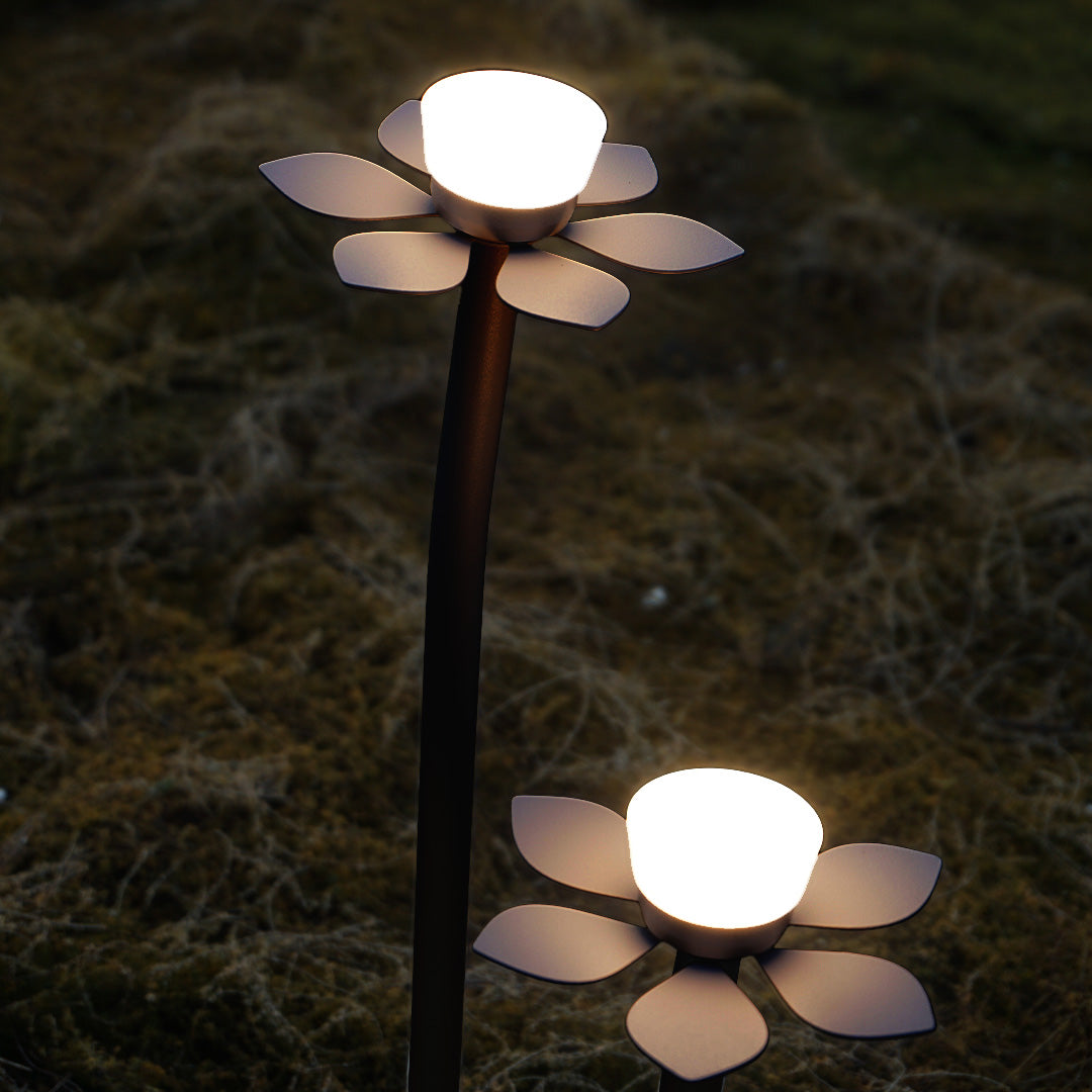 Elegant outdoor landscape lights LED with daisy-style design providing sophisticated nighttime illumination for upscale properties