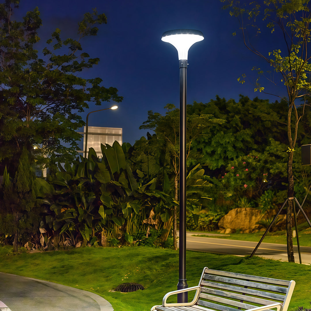 Elegant street lighting fixture shining over a peaceful park path, creating a serene evening scene.