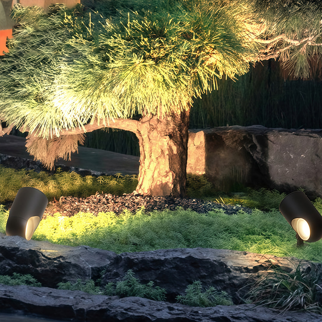 Outdoor scene with exterior spotlight fixtures casting warm light across trees and lawn areas.