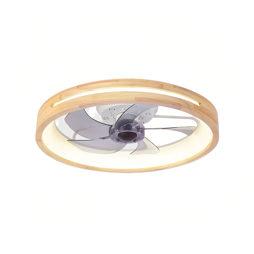 Five blade ceiling fan with light on a white background.