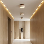 Flush mount entry light installed in a contemporary hallway with warm ceiling illumination.