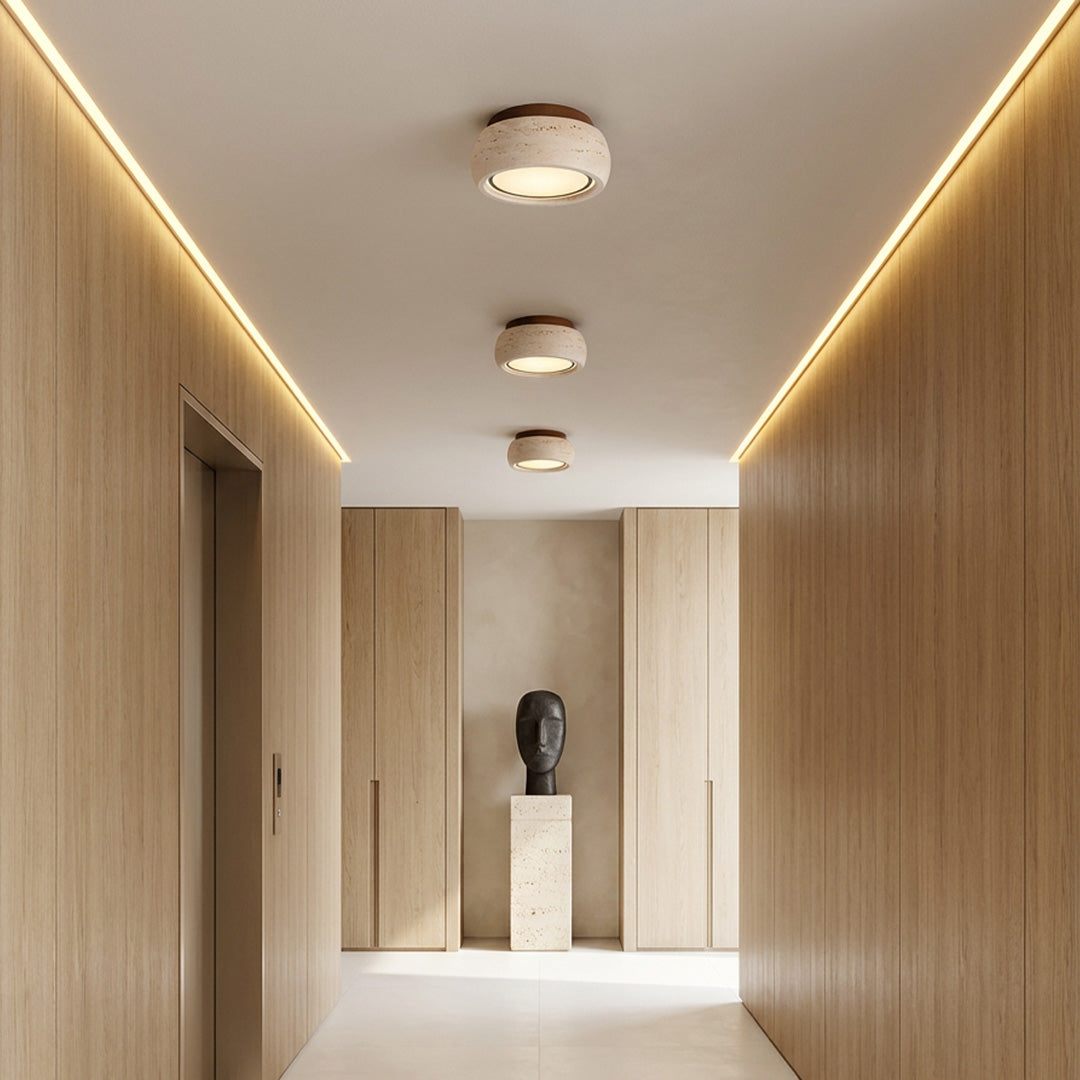 Flush mount entry light installed in a contemporary hallway with warm ceiling illumination.