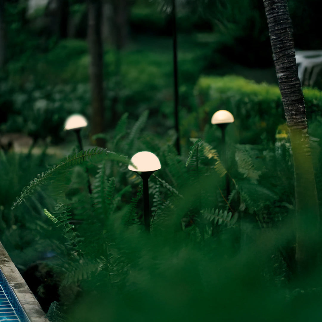 Garden lights landscape enhancing natural forest setting with warm lighting among dense green foliage