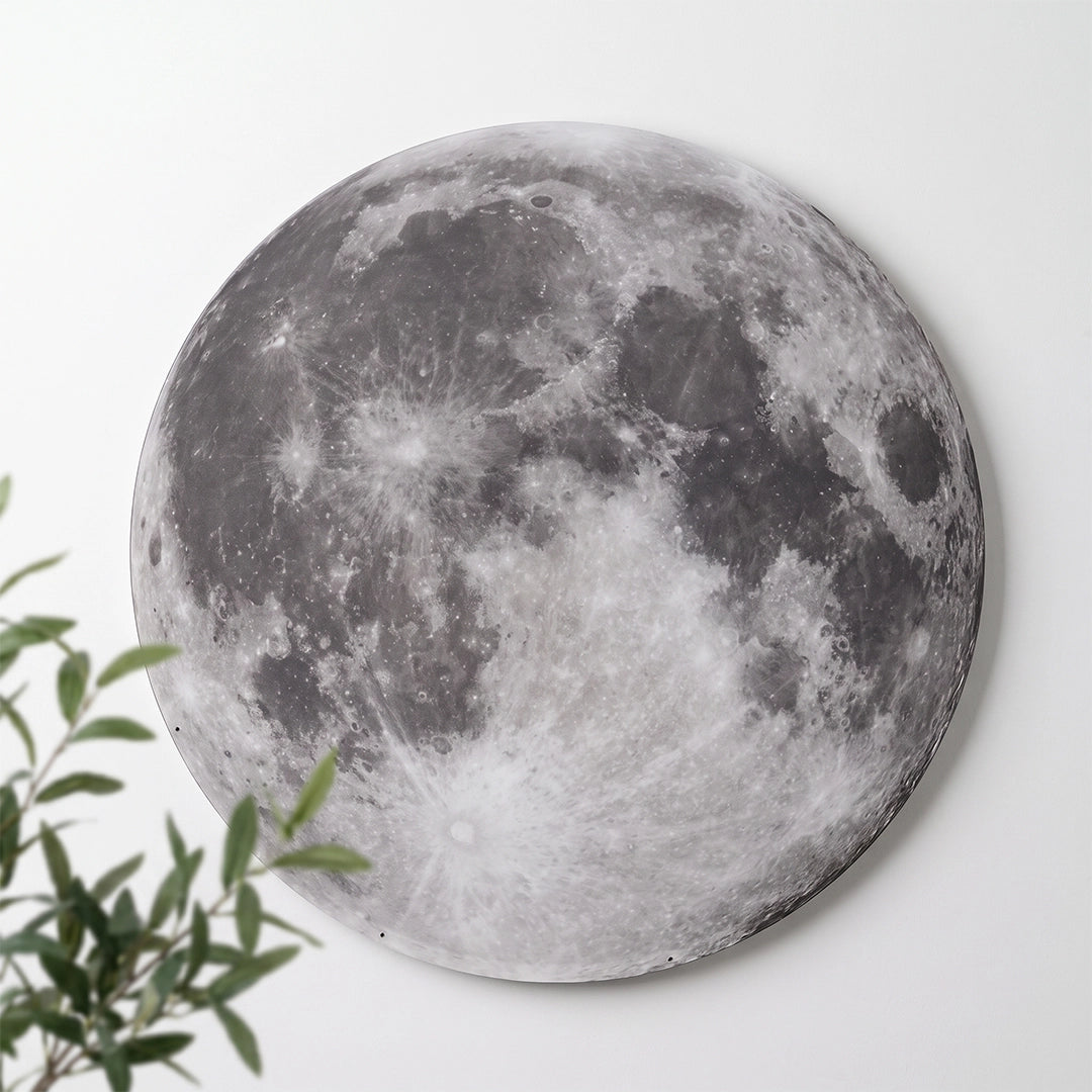 Full moon lamp wall light with a realistic gray lunar surface mounted on a white wall beside green leaves.