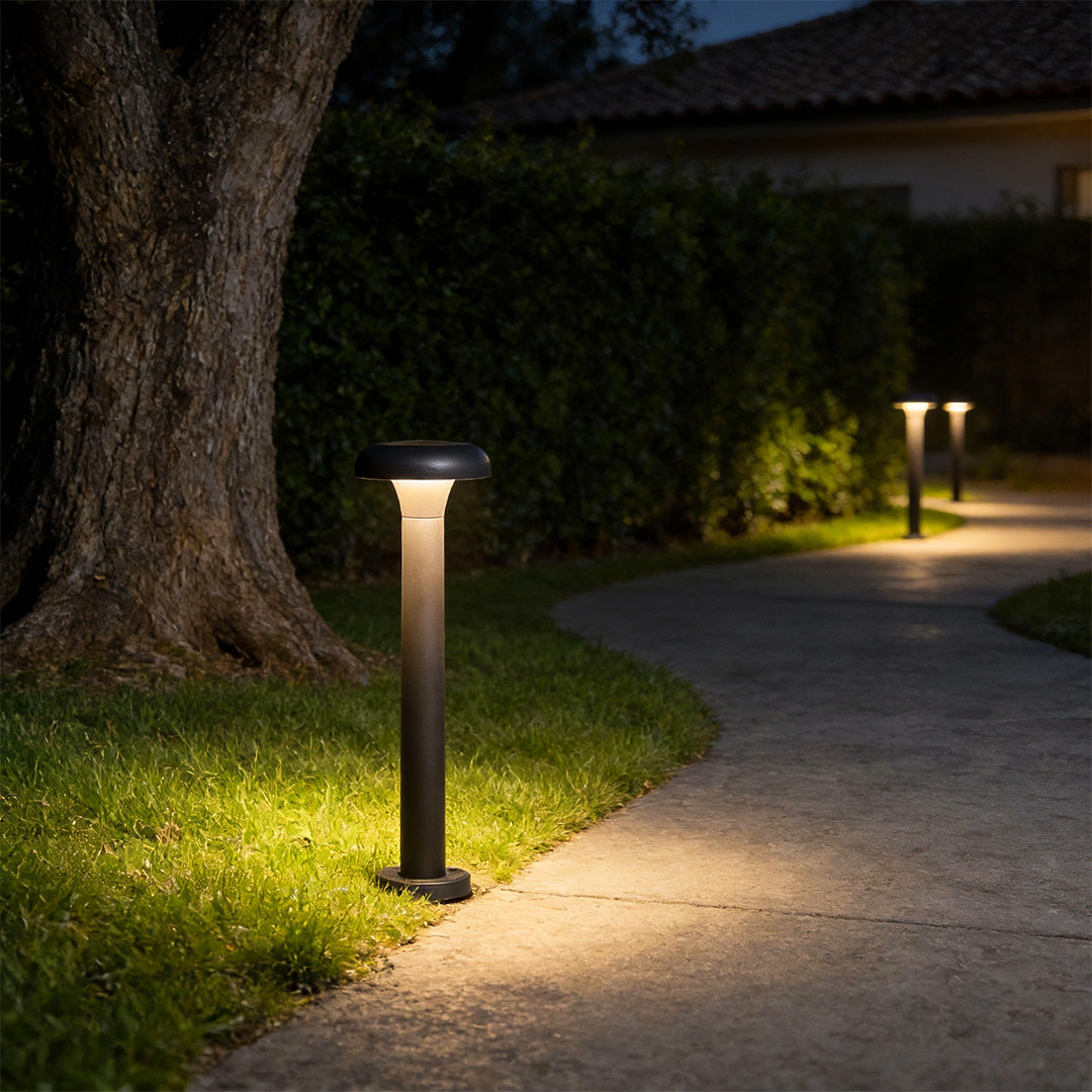 Garden led lights illuminating a curved garden pathway at night, creating a safe and welcoming outdoor walkway with soft warm glow.