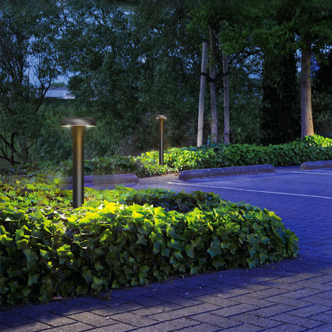 Garden led lights illuminating a wide garden walkway at dusk, creating a calm atmosphere and guiding movement through the space.