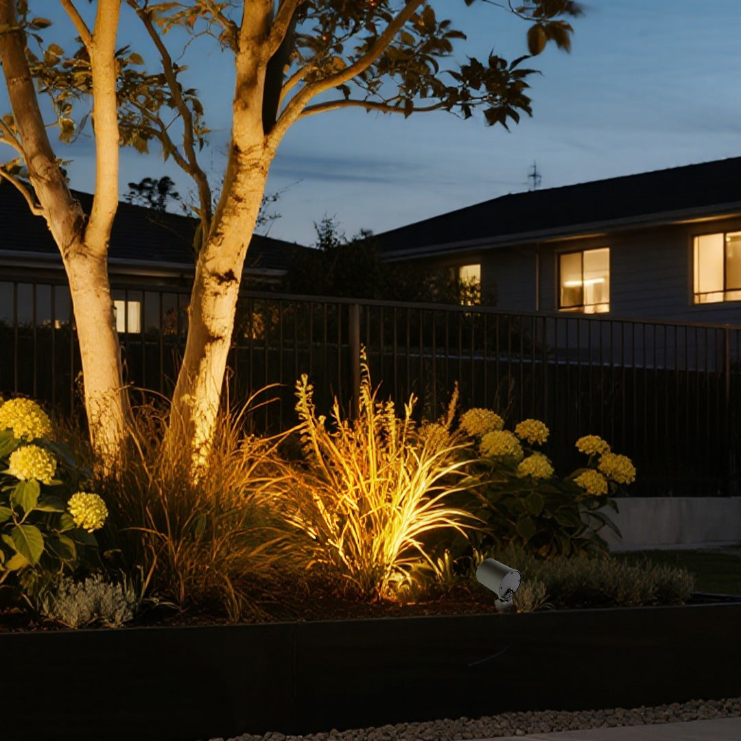 Garden LED spotlights outdoor highlighting ornamental grass and tree in contemporary landscape setting