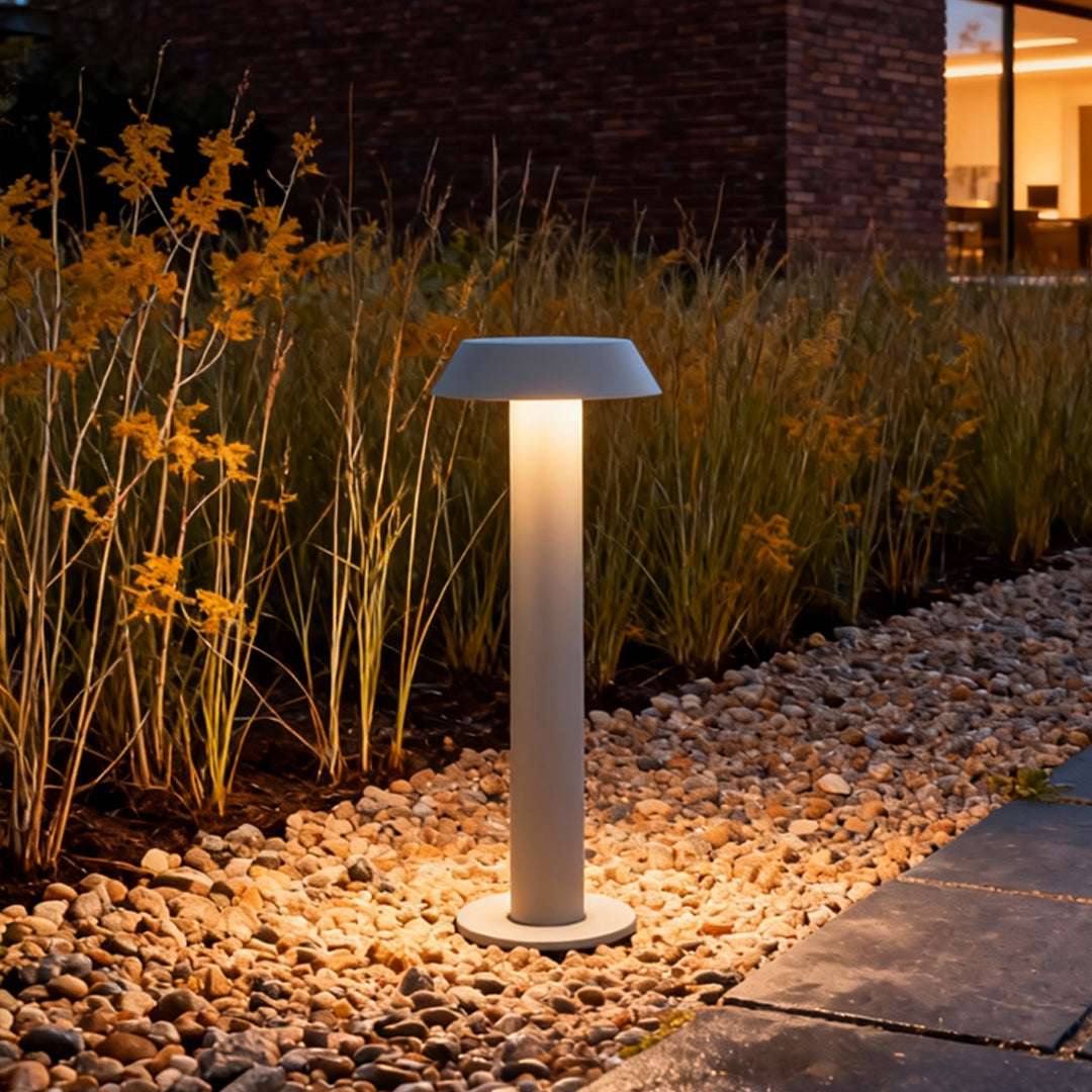 Warm white path lighting LED illuminating a nighttime garden pathway lined with plants.