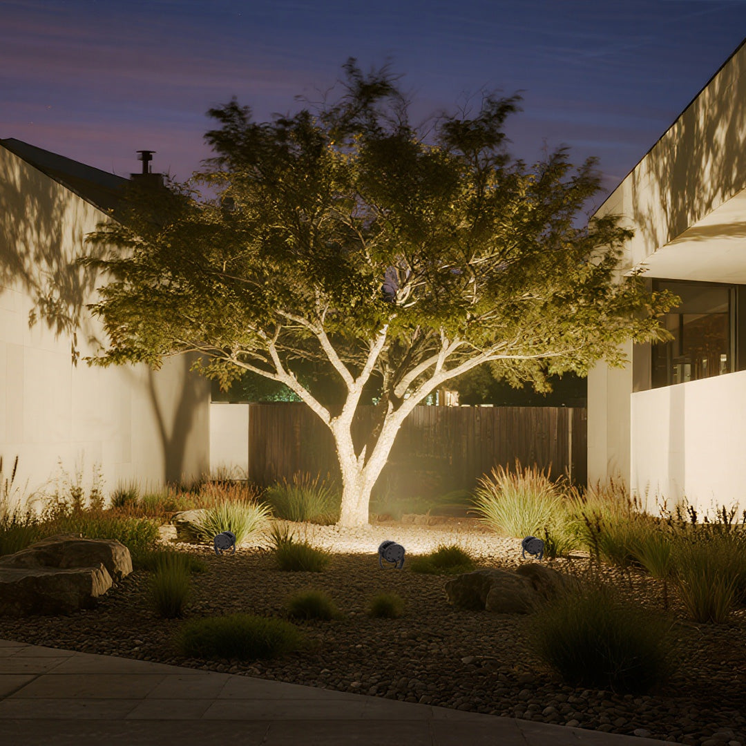 Garden outdoor LED garden spotlights creating beautiful uplighting effect for decorative tree branches