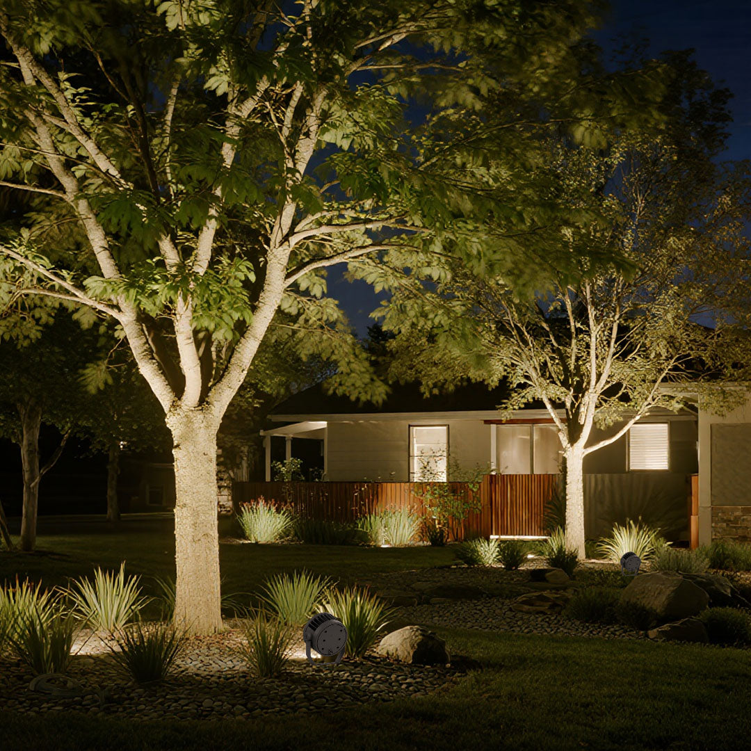 Garden outdoor lighting LED spotlights creating beautiful tree uplighting in residential landscape design