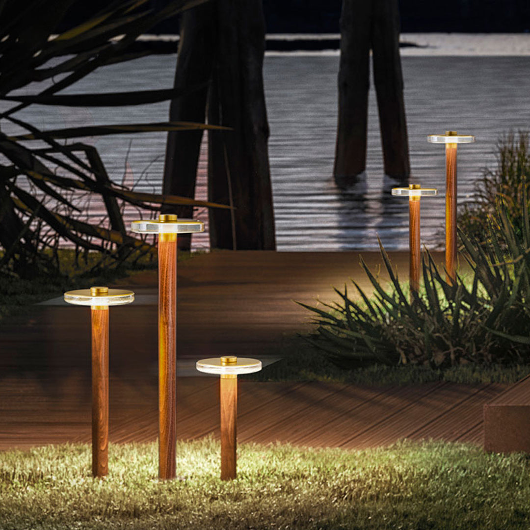 Landscape pathway lighting creating soft illumination along a natural garden path with trees.