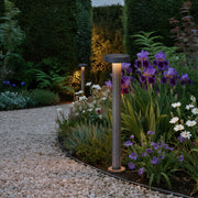 LED path lights enhancing garden pathway through colorful flower beds with evening landscape lighting