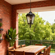 Black pendant light in a garden patio, elegant and functional outdoor lighting