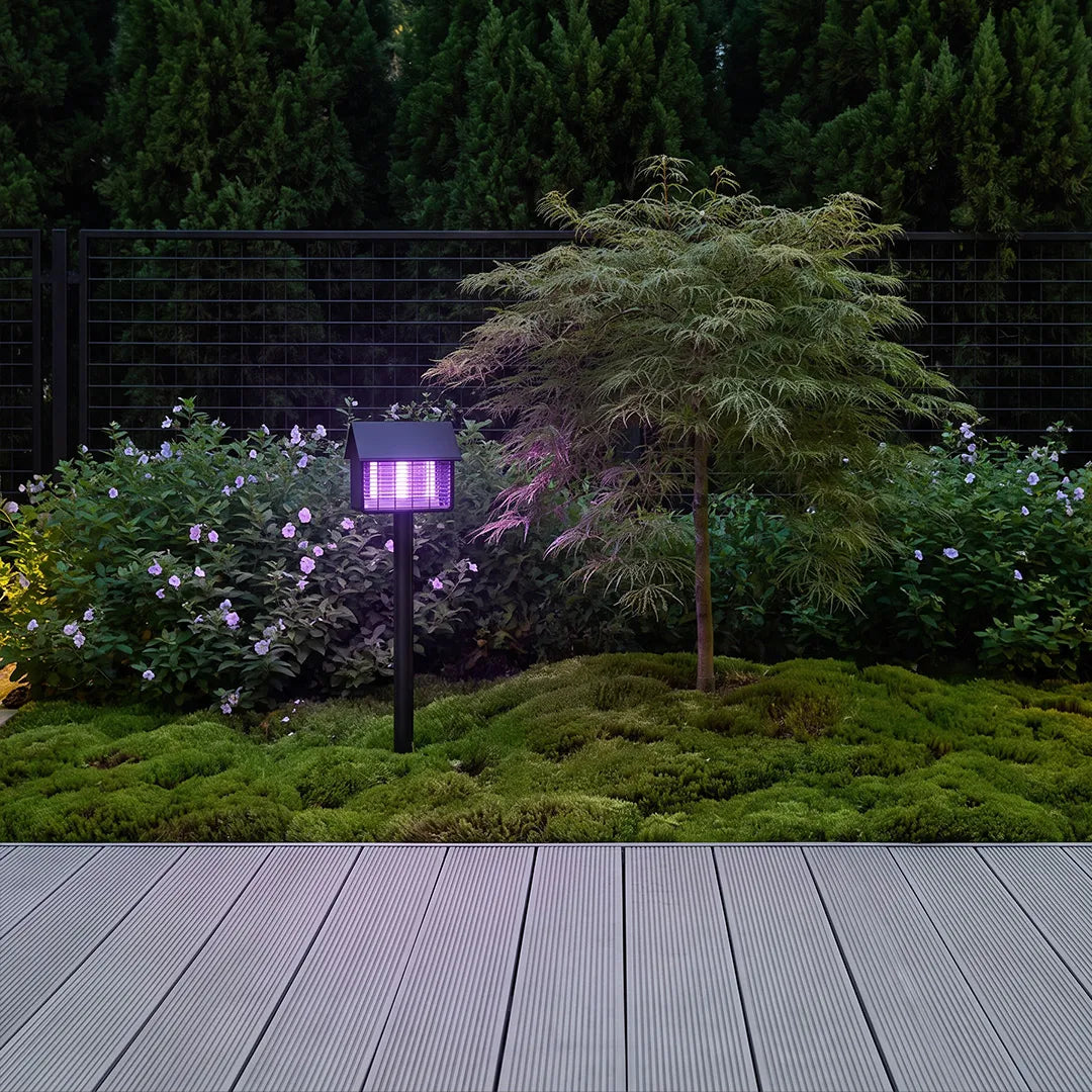 Garden solar path lights installed beside shrubs and a wooden deck in a modern backyard garden.