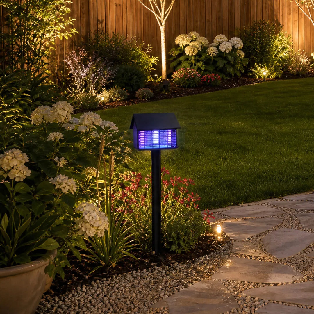 Garden solar path lights adding purple accent lighting along a curved garden path at night.