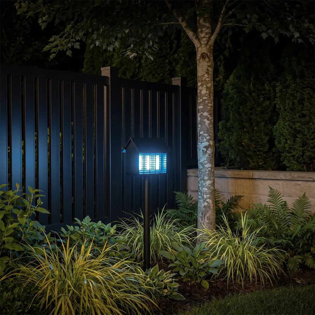 Garden solar path lights with blue illumination mounted near a fence in a landscaped yard.