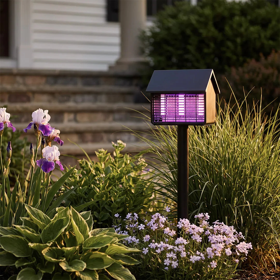 Garden solar path lights placed near blooming flowers by a front porch landscape bed.