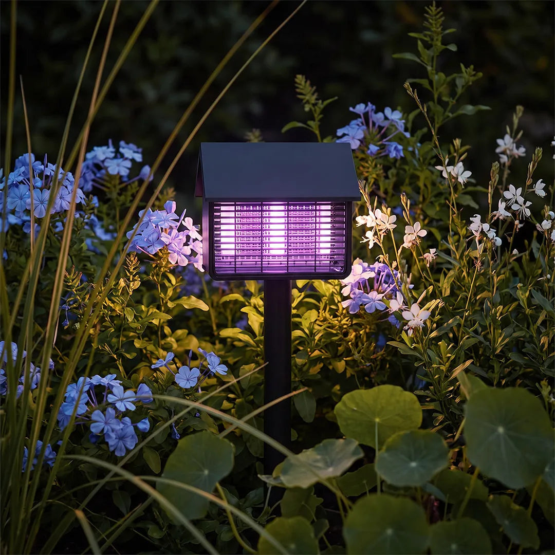 Garden solar path lights glowing purple among flowering plants in a landscaped garden at night.