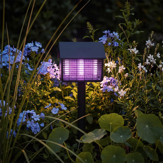 Garden solar path lights glowing purple among flowering plants in a landscaped garden at night.
