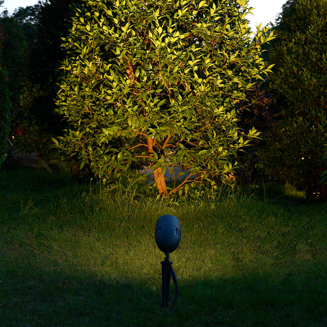 Garden spotlight creating warm uplighting on flowering shrubs and golden foliage in evening landscape