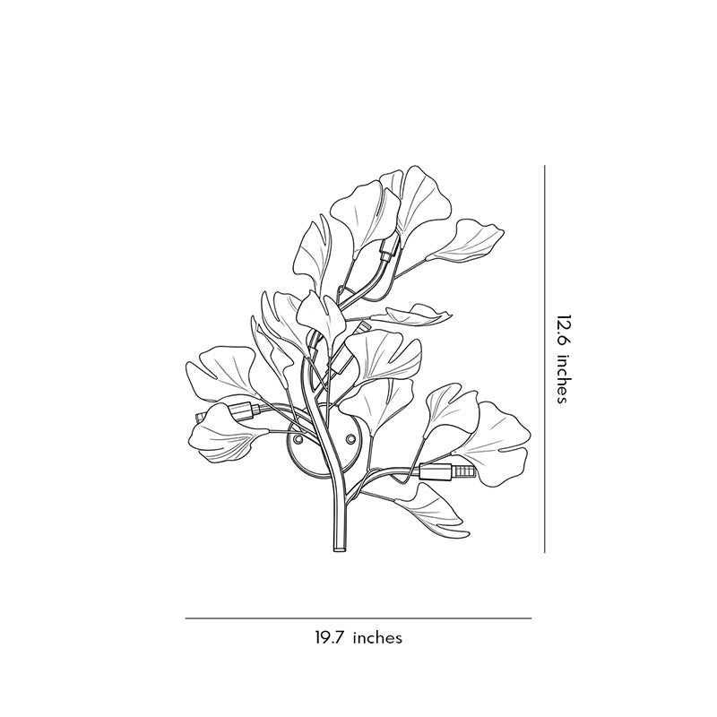 Technical diagram showing dimensions and structure of ginkgo wall light models.