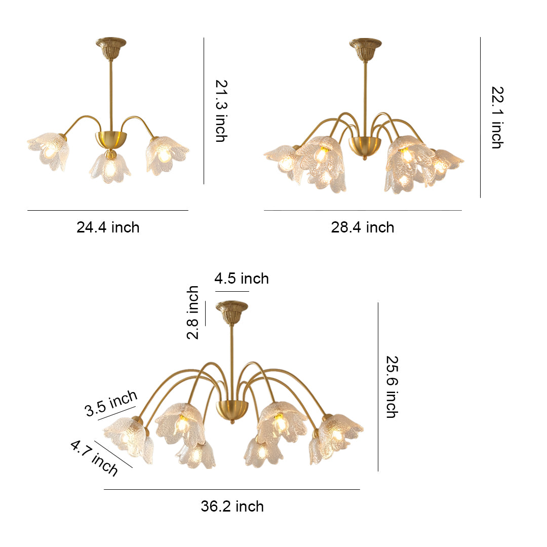 Technical specification drawing of glass shades chandelier with multiple pendant lights in brass finish