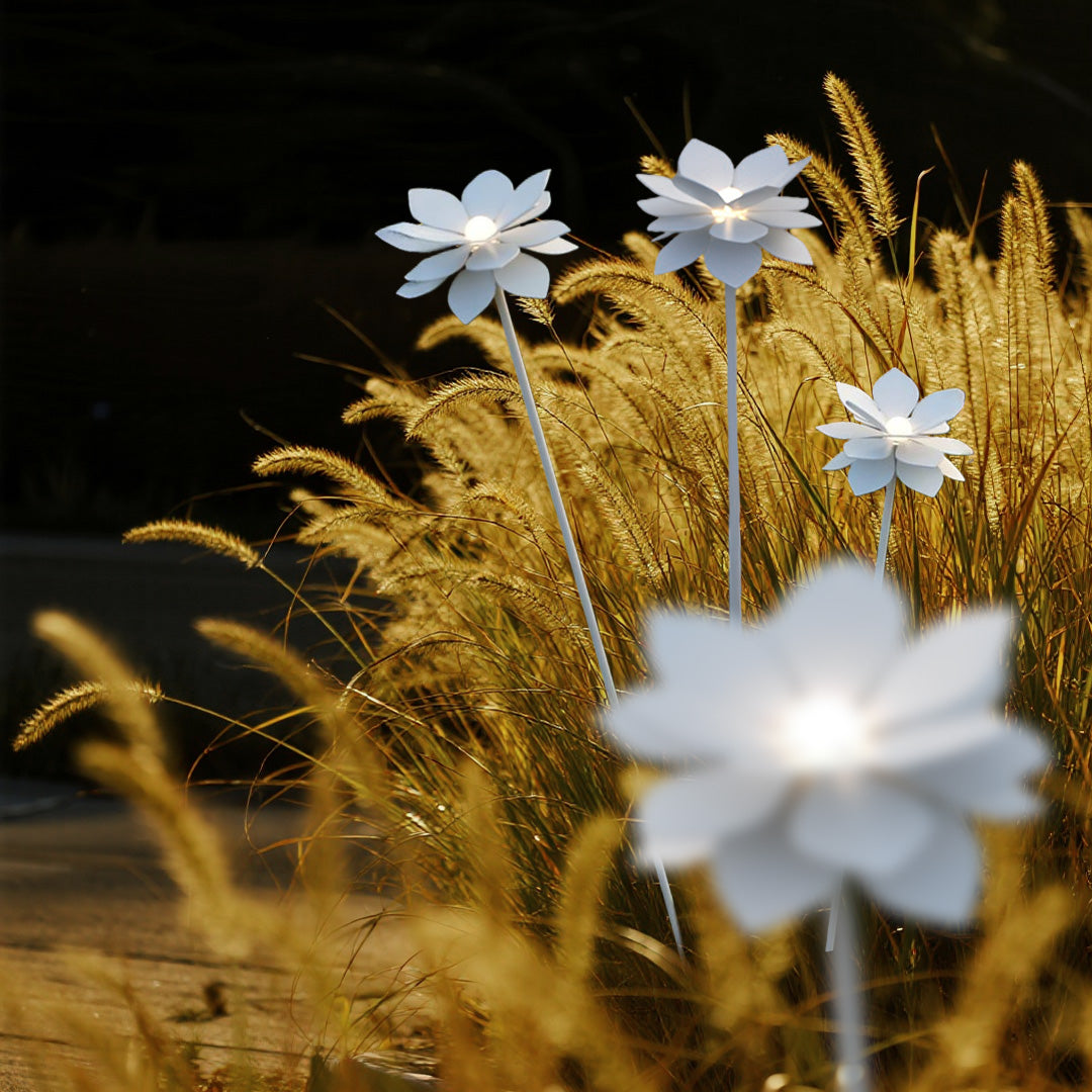 Golden hour illuminated flower landscape garden light with ornamental grass creating stunning warm outdoor lighting effect