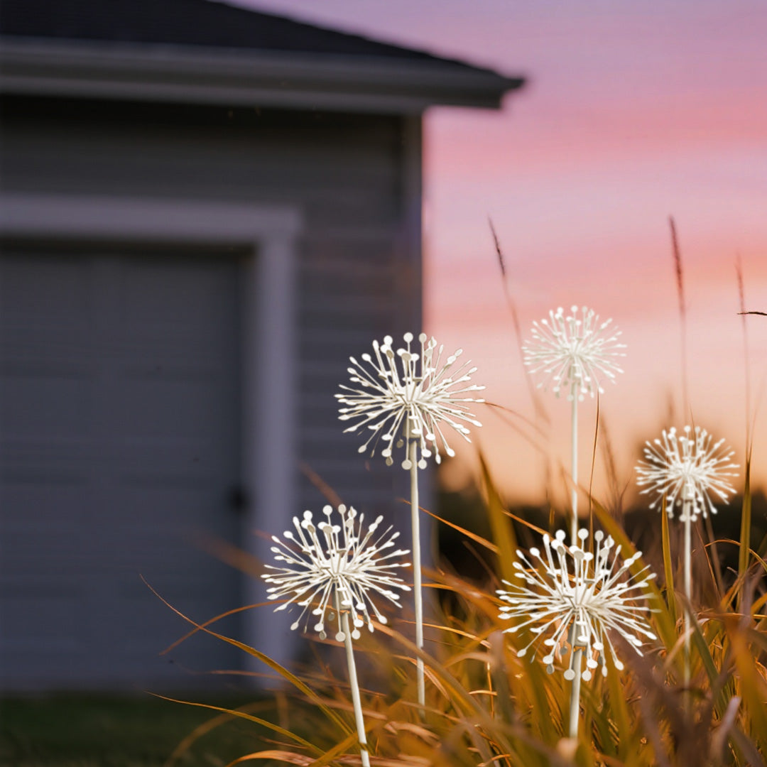 Golden hour illumination of decorative starburst landscape garden lights creating enchanting outdoor atmosphere
