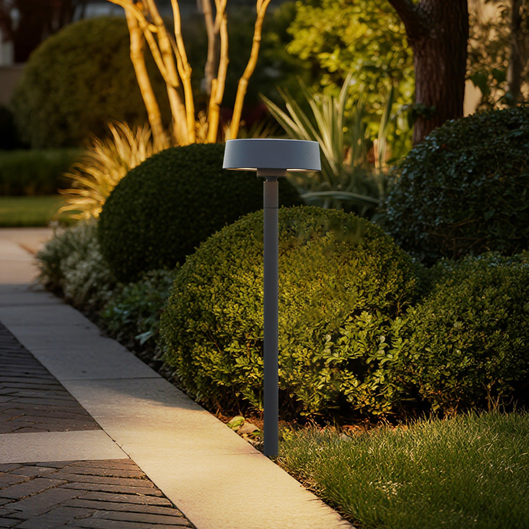 Golden hour landscape outdoor lights highlighting ornamental grasses and garden textures with warm ambient illumination