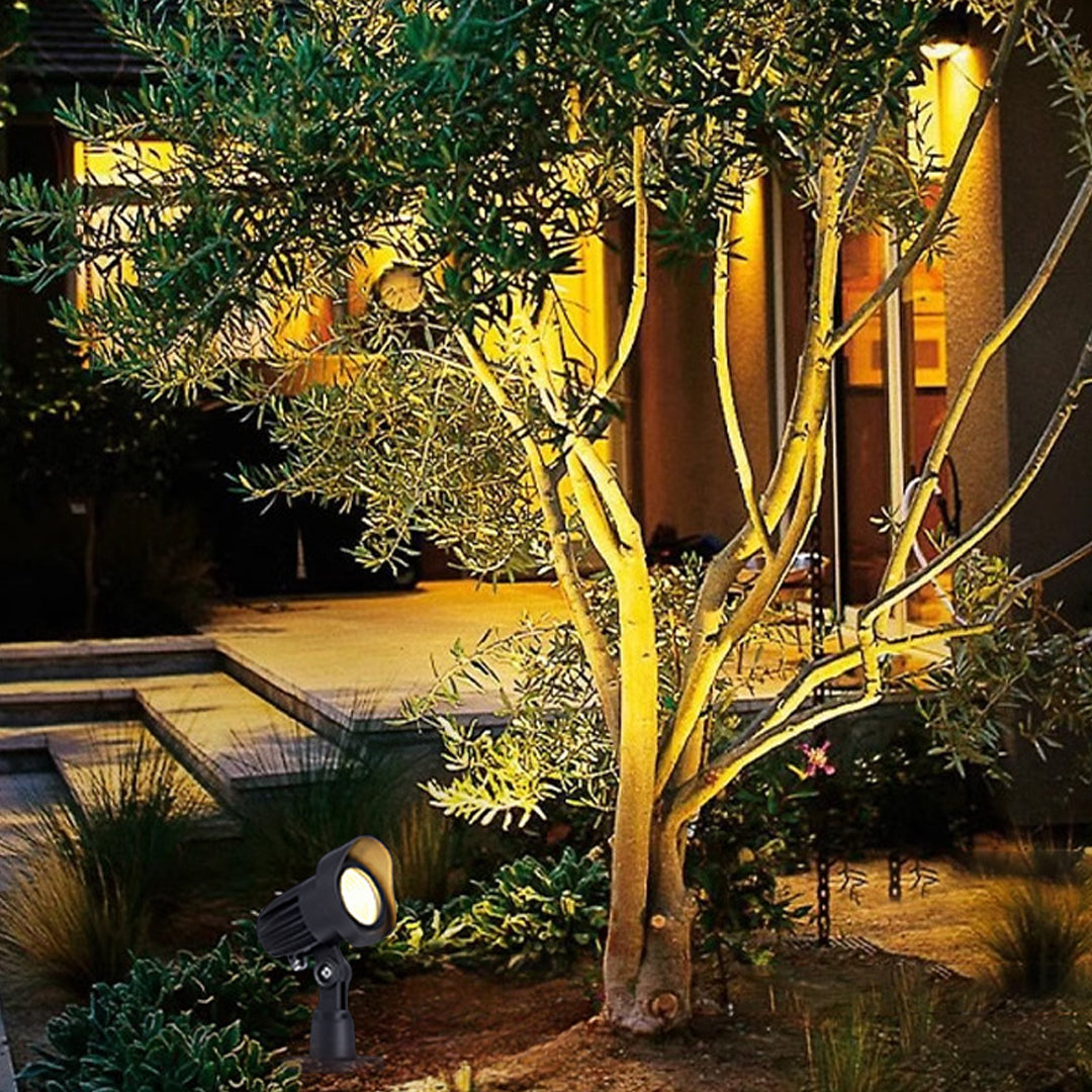 Golden tree trunk illumination with artistic landscape lighting design in evening garden