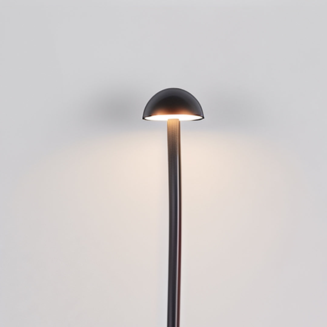 Golden warm lighting from modern outdoor fixtures creating beautiful ambiance for landscaping projects