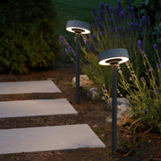 Warm illuminated landscape outdoor lights along stepping stone pathway showcasing beautiful nighttime garden lighting design