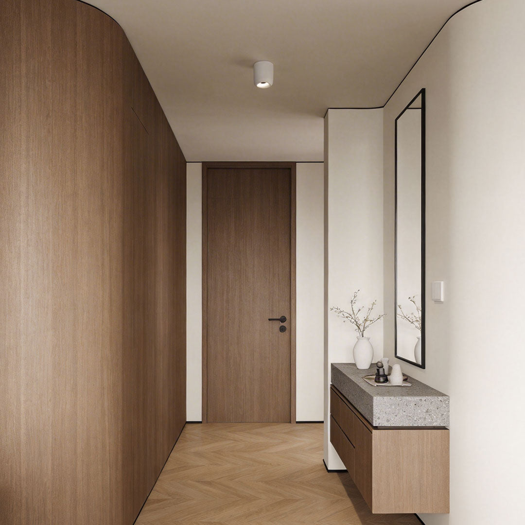 Indoor spotlight lamp mounted on the ceiling of a modern hallway with white walls and wooden accents.