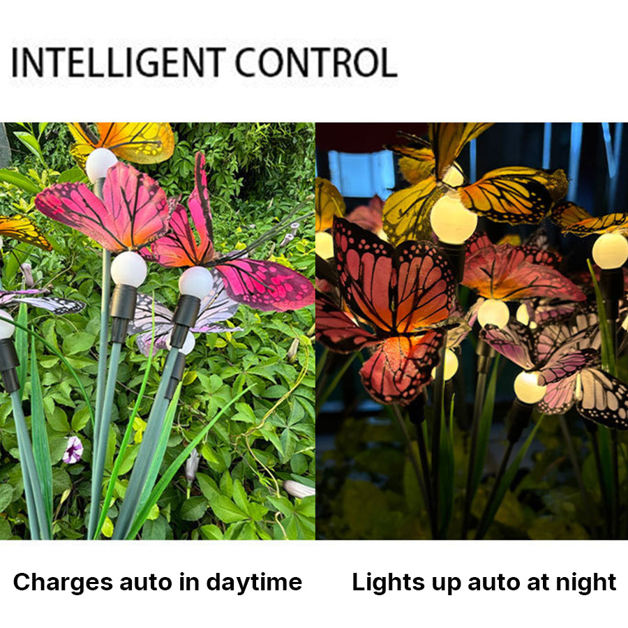 Product diagram showing intelligent control features with daytime charging and nighttime illumination