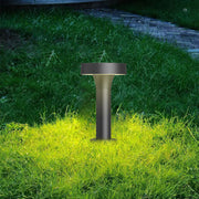 Landscape lighting showcasing bollard fixtures creating warm illumination on green lawn area