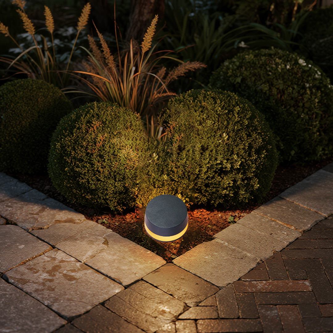 LED outdoor landscape light creating warm illumination among decorative plants and paved walkway design