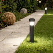 Dark cylindrical landscape lighting bollards installed along a garden border with neatly trimmed shrubs.