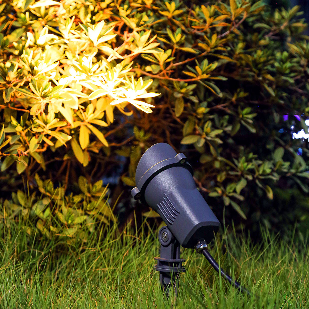 Landscape lighting creating dramatic uplighting on garden plants and modern building facade at night